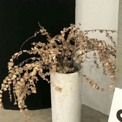 Furry插画色彩解析兽圈社群